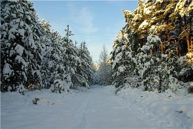 《塔罗斯的法则2》新预告 游戏时长20-30小时